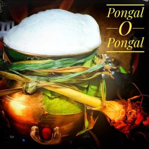 Pongal