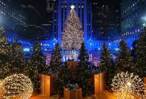 Spectacular Christmas Tree Around the World