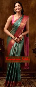 Saree Shops in Chennai